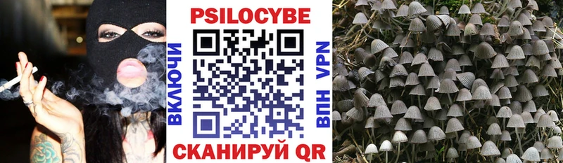 Псилоцибиновые грибы прущие грибы  Калач-на-Дону 